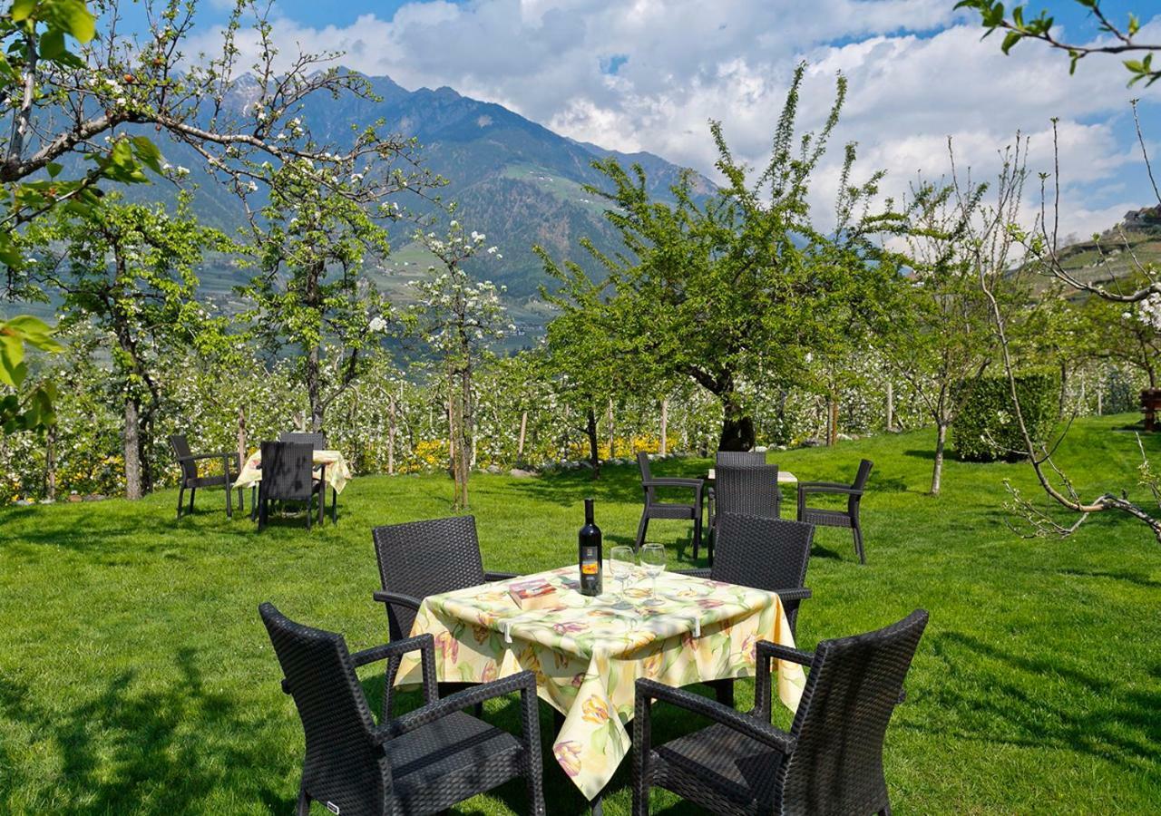Planta 2* Meran